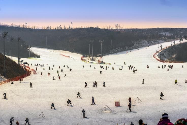 ทััวร์เกาหลี กรุงโซล  5 วัน 3 คืน สนุกกับการเล่นสกี  ไร่สตรอเบอร์รี่  บิน LJ 