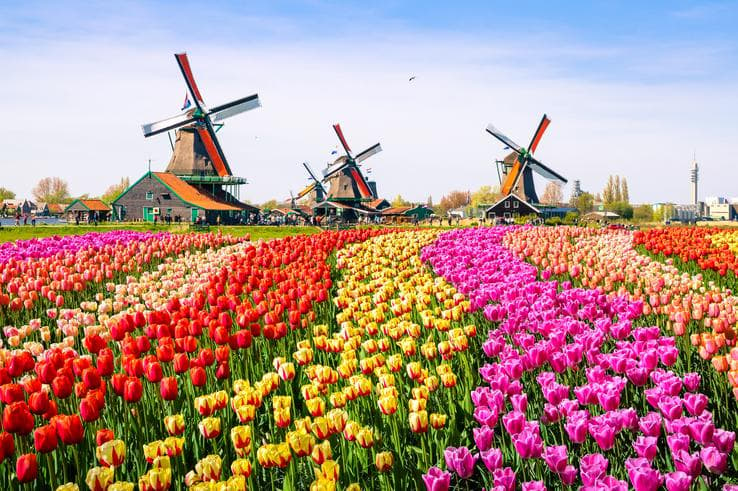 ทัวร์เนเธอร์แลนด์ เบลเยี่ยม 7 วัน 5 คืน เทศกาลชมดอกทิวลิป ณ สวนคอยเคนฮอฟ หมู่บ้านวัฒนธรรมฮอลแลนด์ ซานส์สคันส์ *ล่องเรือหลังคากระจก บิน BR