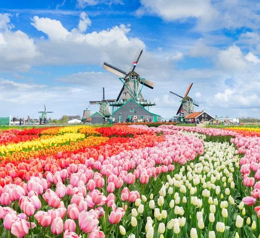 ทัวร์เบลเยี่ยม เนเธอร์แลนด์ เยอรมัน 8 วัน 5 คืน เทศกาลชมดอกทิวลิป ณ สวน คอยเคนฮอฟ หมู่บ้านวัฒนธรรมฮอลแลนด์ ซานส์สคันส์ *ล่องเรือหลังคากระจก บิน TG
