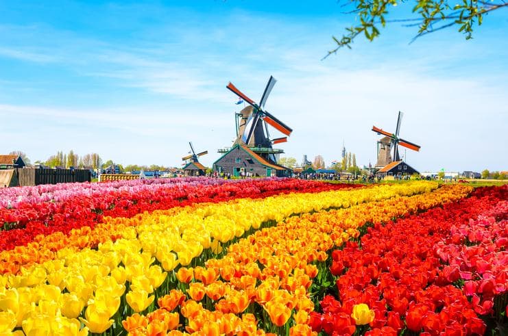 ทัวร์ยุโรป เบลเยี่ยม เนเธอร์แลนด์ เยอรมัน 7 วัน 4 คืน เทศกาลชมดอกทิวลิป ณ สวน คอยเคนฮอฟ  หมู่บ้านวัฒนธรรมฮอลแลนด์ ซานส์สคันส์*ล่องเรือหลังคากระจก บิน TG