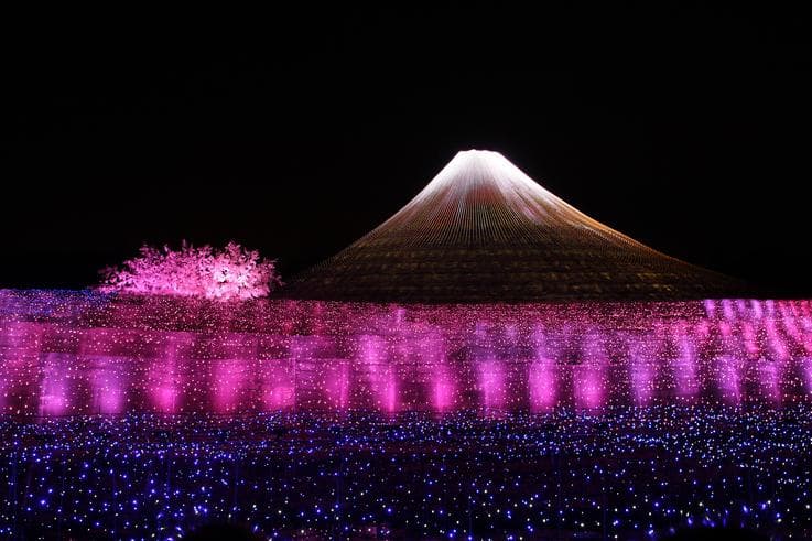 ทัวร์ญี่ปุ่น โตเกียว โอซาก้า 7 วัน 5 คืน เทศกาลไฟประดับ 'นาบานาโนะ ซาโตะ' ชมวิวหอคอยโตเกียวสกายทรี สวนสตรอเบอร์รี่ บิน TG