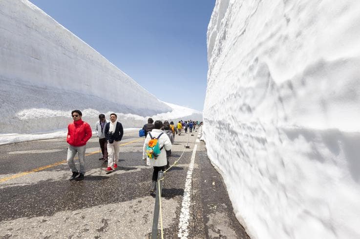 ทัวร์ญี่ปุ่น นาโกย่า ทาคายาม่า 5 วัน 3 คืน เจแปนแอลป์ กำแพงหิมะ Snow Wall คามิโกจิ หมู่บ้านมรดกโลกชิราคาวาโกะ บิน JL