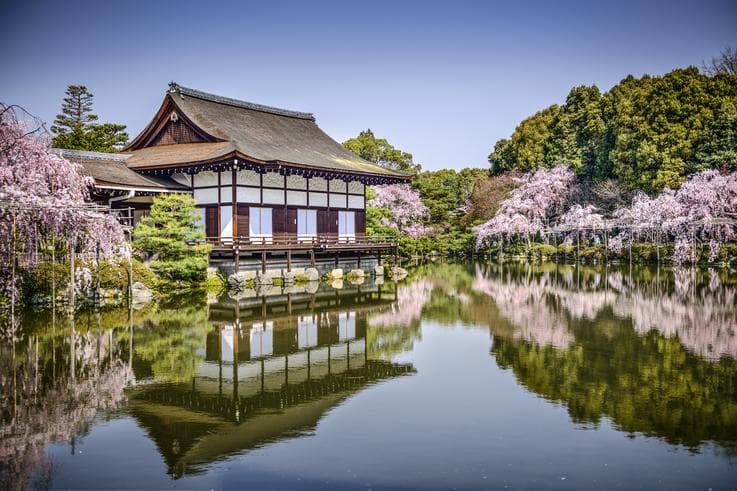ทัวร์ญี่ปุ่น โอซาก้า  7 วัน 4 คืน ซากุระสวนศาลเจ้าเฮย์อัน  ปราสาทเงินกิงคาคุจิ ปราสาทฮิเมะจิ  บิน JL 