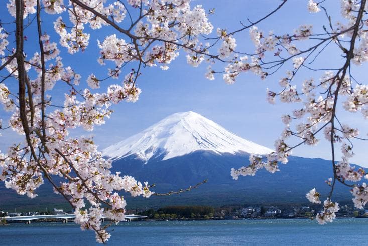 ทัวร์ญี่ปุ่น โตเกียว 6 วัน 3 คืน ภูเขาไฟฟูจิ(ชั้น 5) หินศักดิ์สิทธิ์ศาลเจ้าอารายายามะ บิน XJ