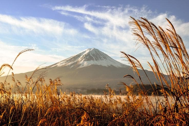 ทัวร์ญี่ปุ่น โตเกียว 5 วัน 3 คืน ภูเขาไฟฟูจิ (ชั้น5) วัดอาซากุสะ *เก็บทิปที่สนามบิน* บิน XW
