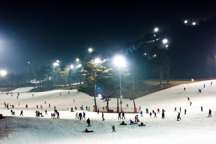 ทัวร์เกาหลี อินชอน 5 วัน 3 คืน ตะลุยหิมะเล่น สกีสุดมันส์ ไร่สตรอเบอร์รี่ (พักสกีรีสอร์ท1คืน) บิน TG 