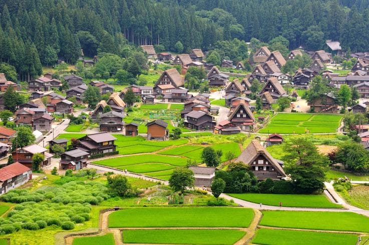 ทัวร์ญี่ปุ่น โอซาก้า ทาคายาม่า เกียวโต 4 วัน 3 คืน หมู่บ้านชิราคาวาโกะ ชมวิวเทือกเขาแอลป์ บิน TR