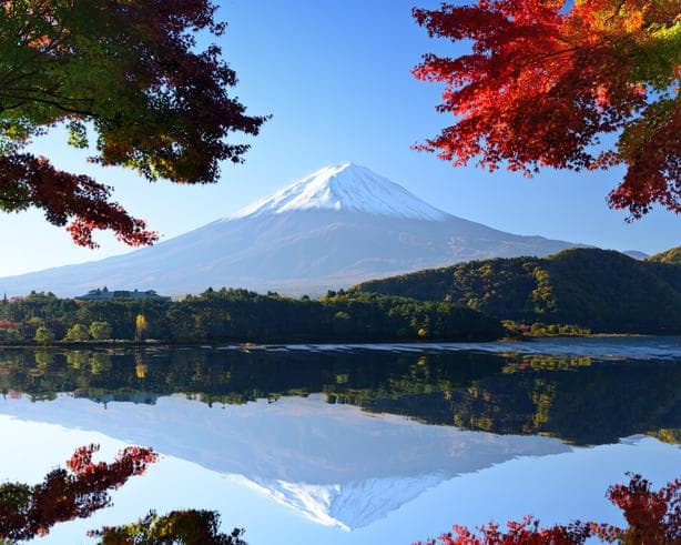 ทัวร์ญี่ปุ่น โอซาก้า โตเกียว 6 วัน 4 คืน นาบานาโนะซาโตะ ชใบไม้เปลี่ยนสีที่ทะเลสาบยามานาคะโกะ บิน TG