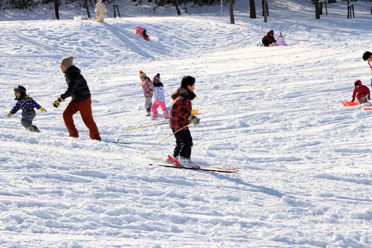 ทัวร์ญี่ปุ่น ฮอกไกโด ซัปโปโร  6 วัน 4 คืน คลับเมดฮอกไกโด อิสระเล่นสกี (พักClub Med Sahoro Ski Resort) บิน TG