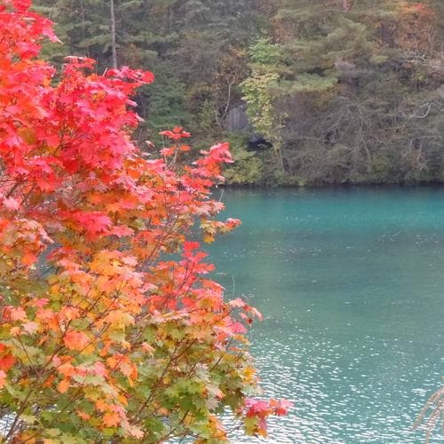 ทะเลสาบโกะชิคินุมะ
