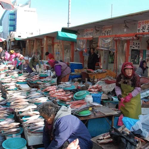 ตลาดปลาจากัลจิ 