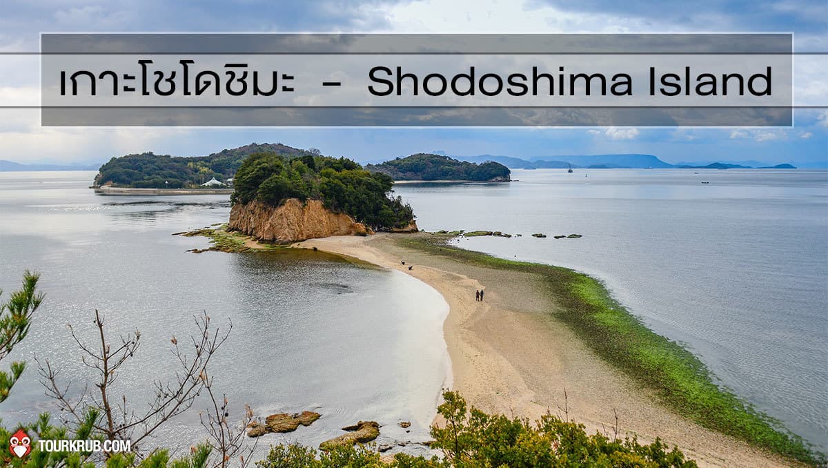 เกาะโชโดชิมะ - Shodoshima Island