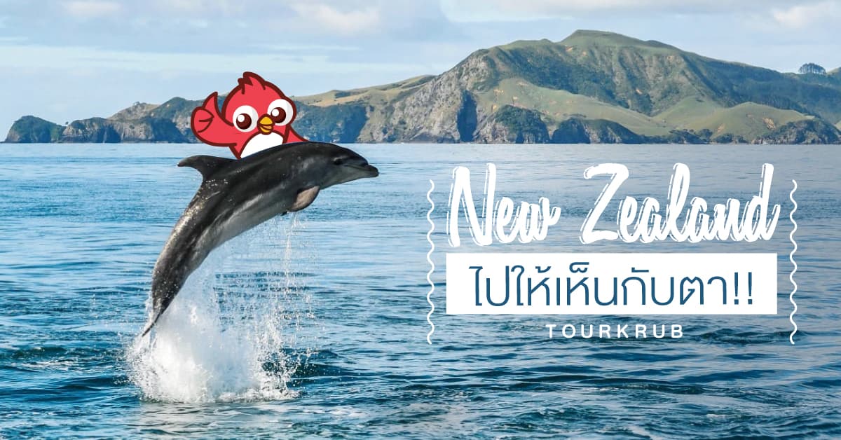 10 สถานที่ท่องเที่ยวห้ามพลาดที่นิวซีแลนด์ !!