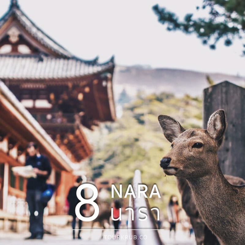 10-cities-Nara-Tourkrub