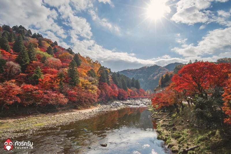Japan-autumn-2018
