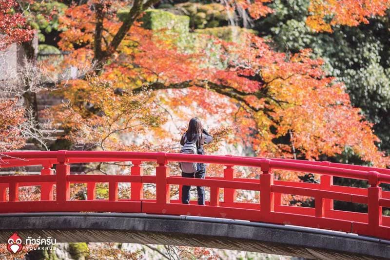 Japan_November