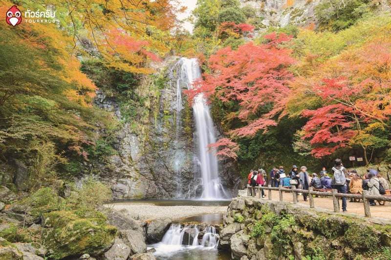 Japan-tips-autumn