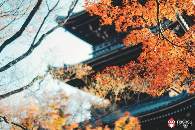 Japan-tips-autumn