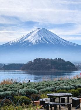 16986 ทัวร์ญี่ปุ่น วัน 4 คืน ภูเขาไฟฟูจิ หมู่บ้านน้ำใสโอชิโนะฮักไก 7 บิน Japan Airlines