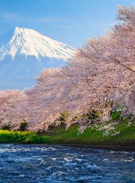 17217 ทัวร์ญี่ปุ่น วัน 4 คืน เทศกาลชมดอกทิวลิป วัดนาริตะซัน จุดชมวิวชั้น 5 ภูเขาไฟฟูจิ 6 บิน ไทยแอร์เอเชียเอกซ์