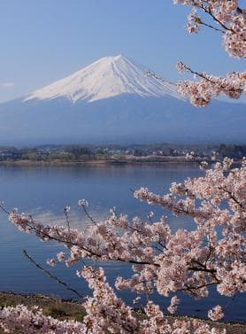 17224 ทัวร์ญี่ปุ่น วัน 4 คืน ภูเขาไฟฟูจิ ทุ่งชิบะซากุระ ศาลเจ้าคาเมโดะ เทนจิน 6 บิน ไทยแอร์เอเชียเอกซ์