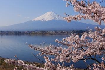 17224 ทัวร์ญี่ปุ่น วัน 4 คืน ภูเขาไฟฟูจิ ทุ่งชิบะซากุระ ศาลเจ้าคาเมโดะ เทนจิน 6 บิน ไทยแอร์เอเชียเอกซ์