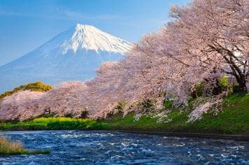 17798 ทัวร์ญี่ปุ่น วัน 4 คืน นาโกย่า โอซาก้า สวนดอกไม้ริมทะเลสาบฮามานะ หมู่บ้านน้ำใส โอชิโนะฮัคไค 6 บิน การบินไทย