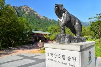 18171 ทัวร์เกาหลี วัน 3 คืน เกาะนามิ อุทยานแห่งชาติซอรัคซาน พระราชวังเคียงบกกุง 5 บิน Jeju Air