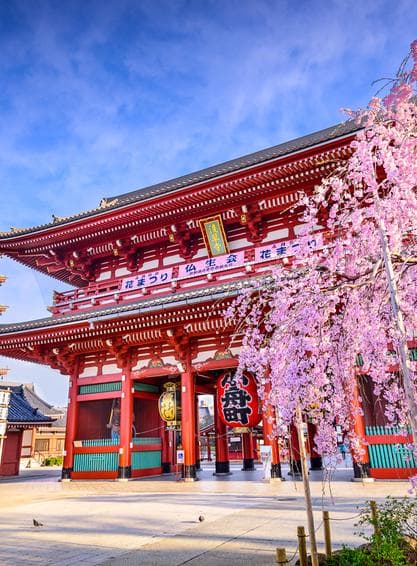 ทัวร์ญี่ปุ่น 6วัน 4คืน เทศกาลชมดอกทิวลิป SAKURA TULIP FESTA หมู่บ้านเอโดะจิ๋ว ณ คาวาโกเอะ ภูเขาไฟฟูจิชน 5 บิน XJ