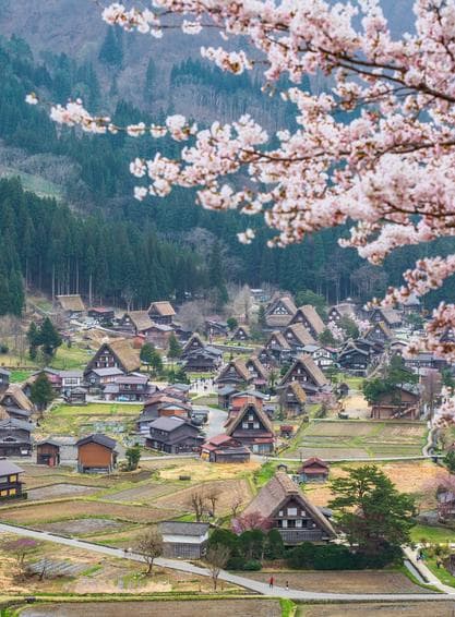 ทัวร์ญี่ปุ่น 6วัน 4คืน โอซาก้า หมู่บ้านชิราคาวาโกะ สวนดอกไม้ริมทะเลสาบฮามานะ หมู่บ้านน้ำใส โอชิโนะฮัคไค บิน XJ