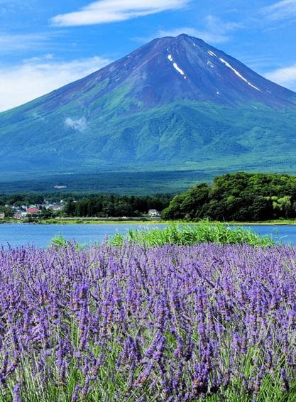 ทัวร์ญี่ปุ่น 5วัน 4คืน วัดอาซากุสะ ภูเขาไฟฟูจิ วัดนาริตะซัน บินSL