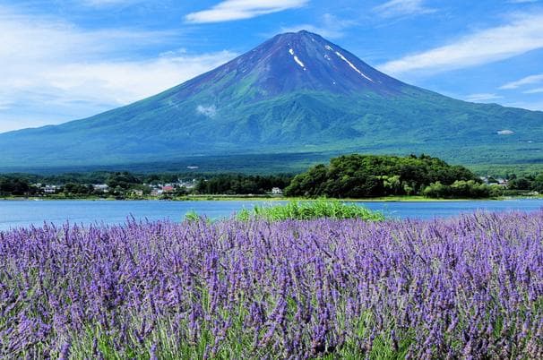 ทัวร์ญี่ปุ่น 5วัน 4คืน วัดอาซากุสะ ภูเขาไฟฟูจิ วัดนาริตะซัน บินSL